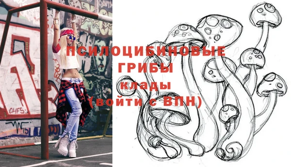 стаф Абдулино