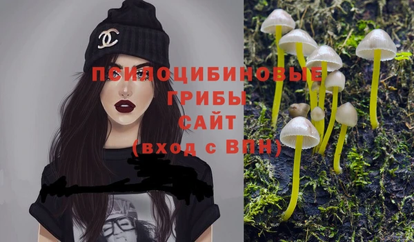 СК Абинск