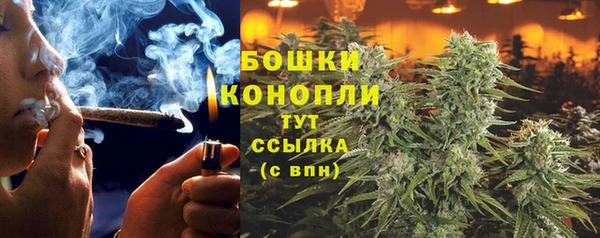 гидропоника Алзамай