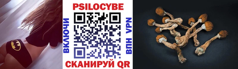 Псилоцибиновые грибы Magic Shrooms  наркотики  Устюжна 