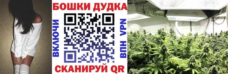 mega   Устюжна  Бошки Шишки SATIVA & INDICA 