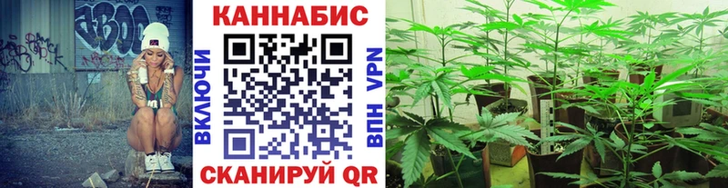 Бошки Шишки ГИДРОПОН Устюжна